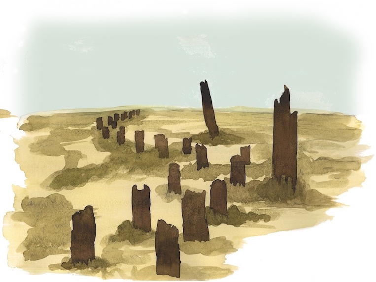 Saltmarsh Boardwalk in 100 years time