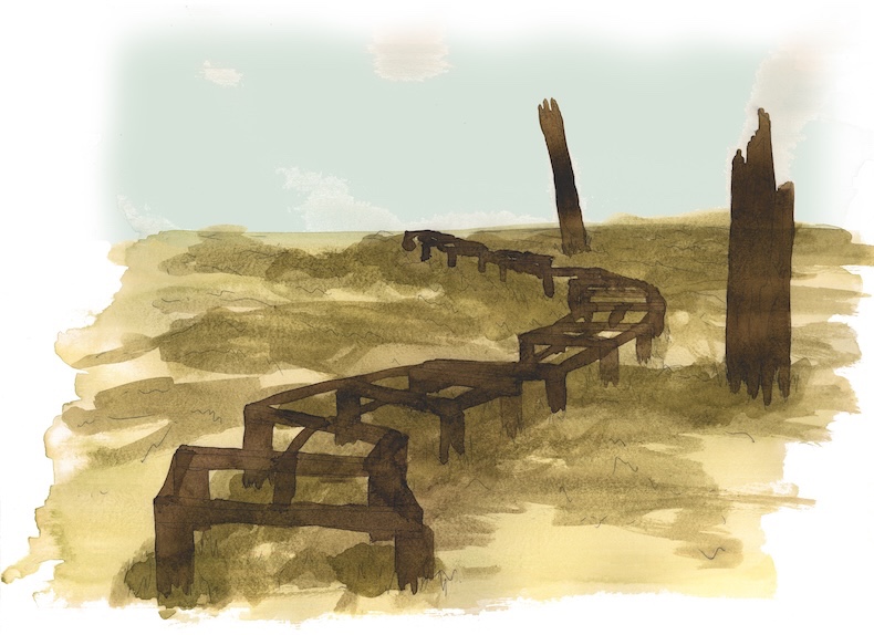 Saltmarsh Boardwalk in 50 Years time 