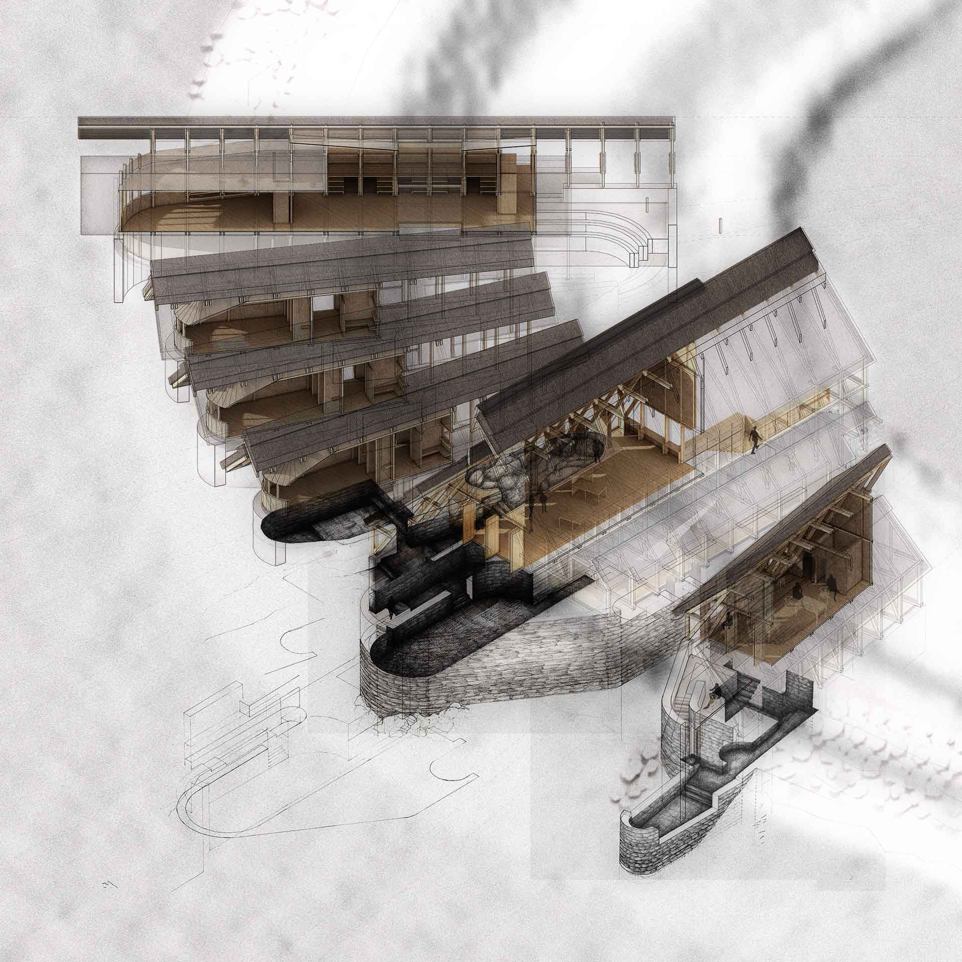 Axonometric Transects