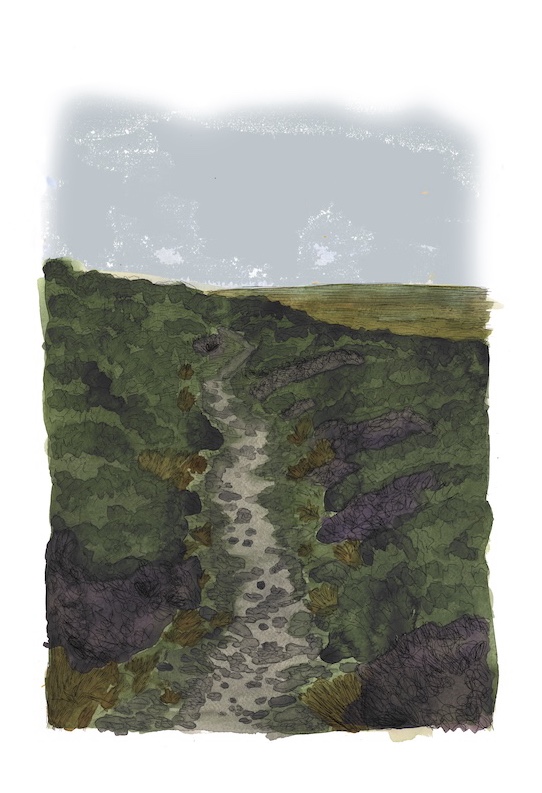 Heathland Thread path in 50 years time