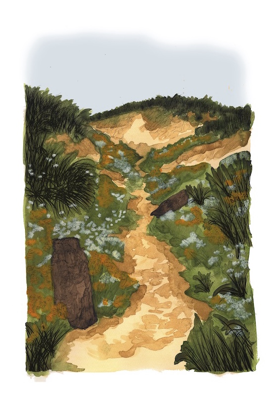 Sand-Dune, Tuck path in 50 years time