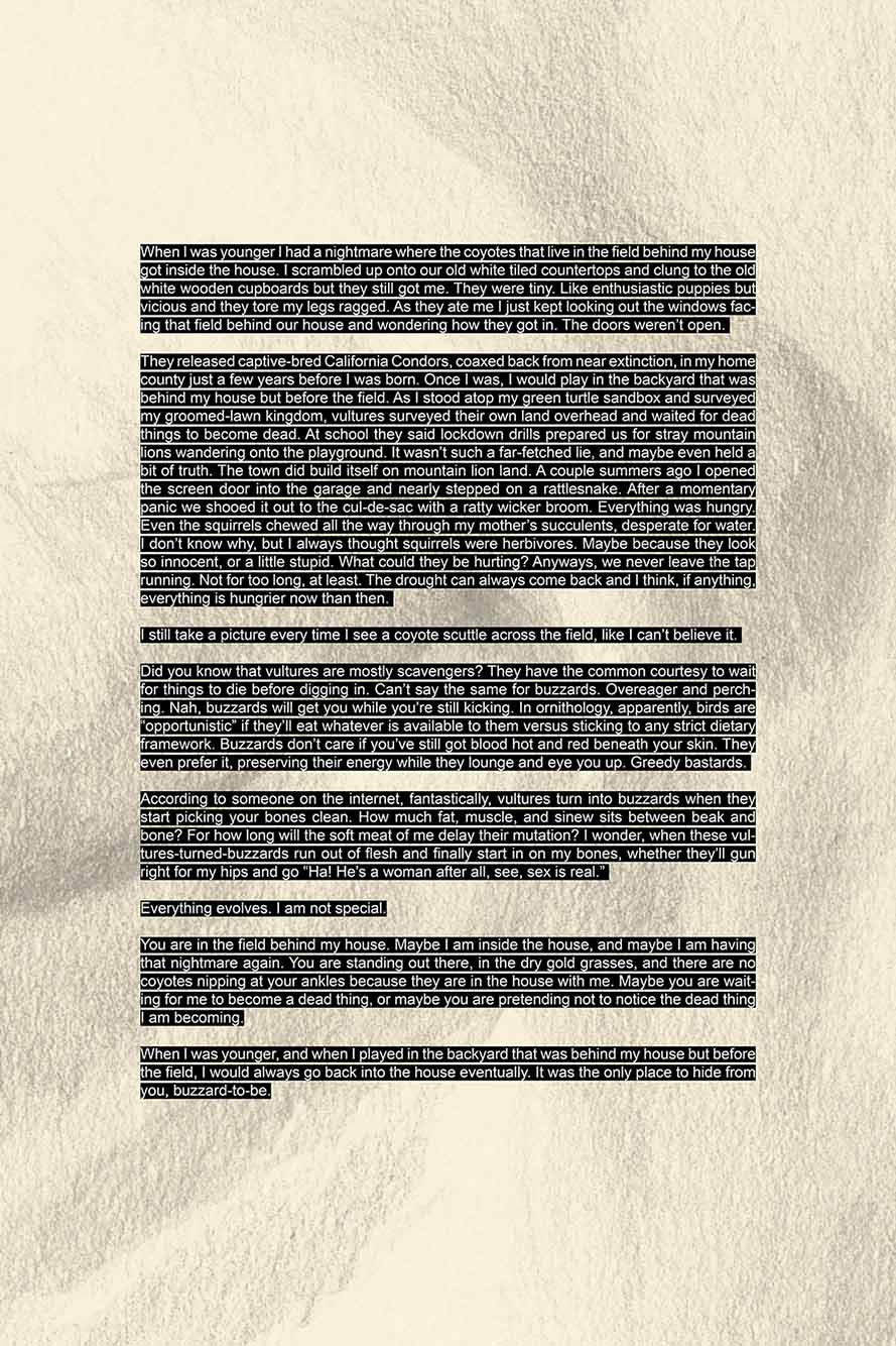 A block of text made to look as if it were blacked out. The background part of a closed eye.