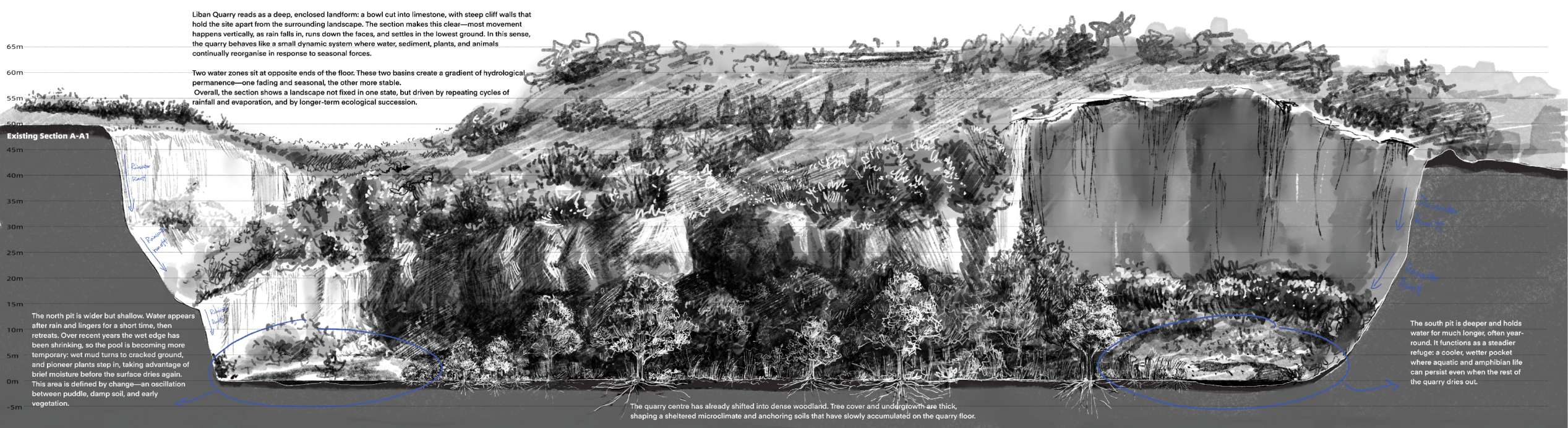 Existing section through Liban Quarry, showing how limestone topography, seasonal water flow, dense vegetation and uneven pond conditions shape the quarry’s current ecological and spatial character.