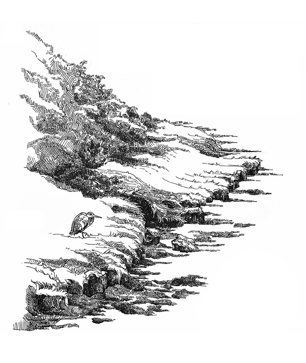 A low-frequency natural soundscape: wind, water, birds.