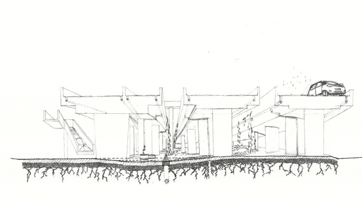 Site emergence through localised drainage flow and sunlight analysis