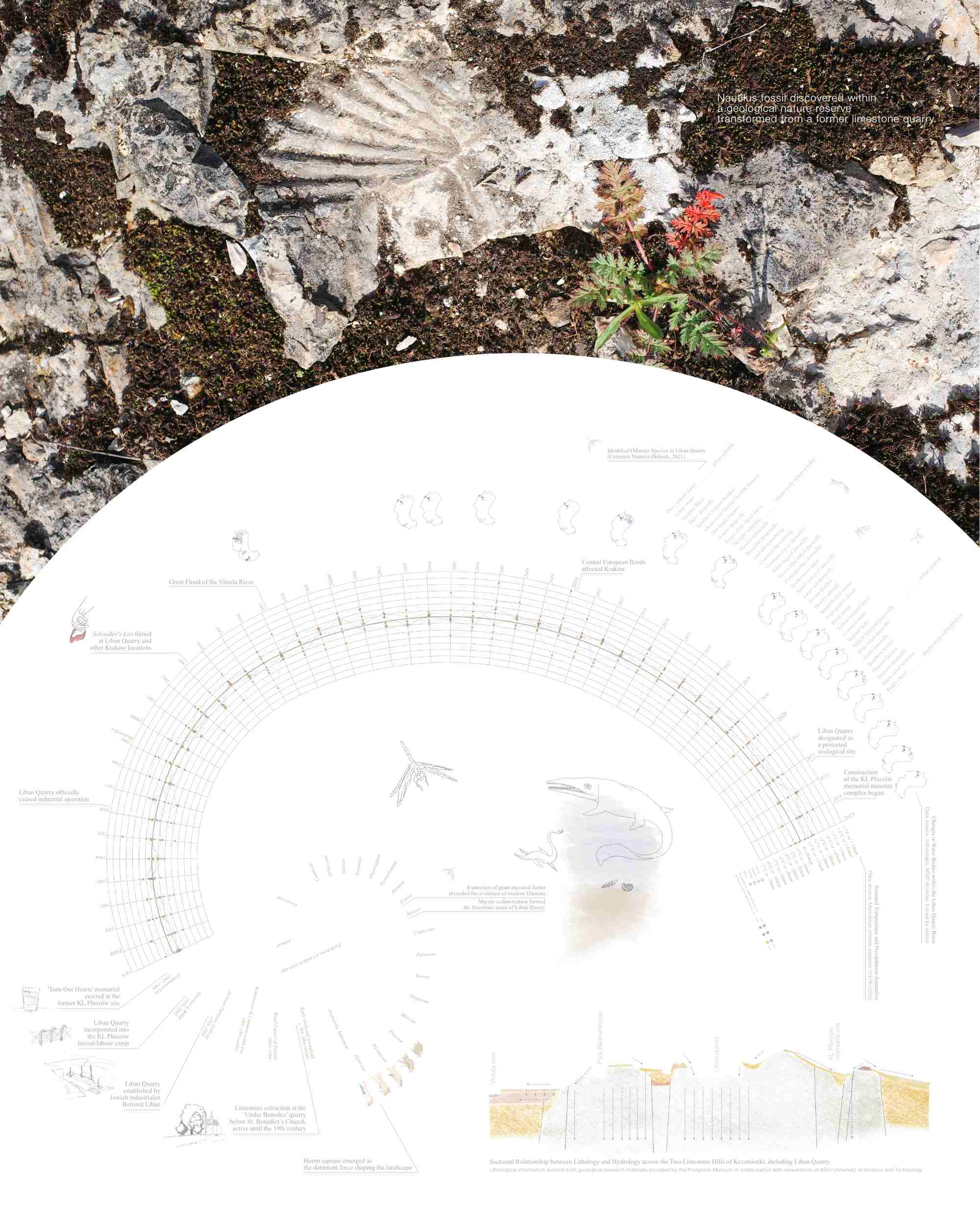 IntegratedSiteReading_Deep Time and Evolving Landscapes