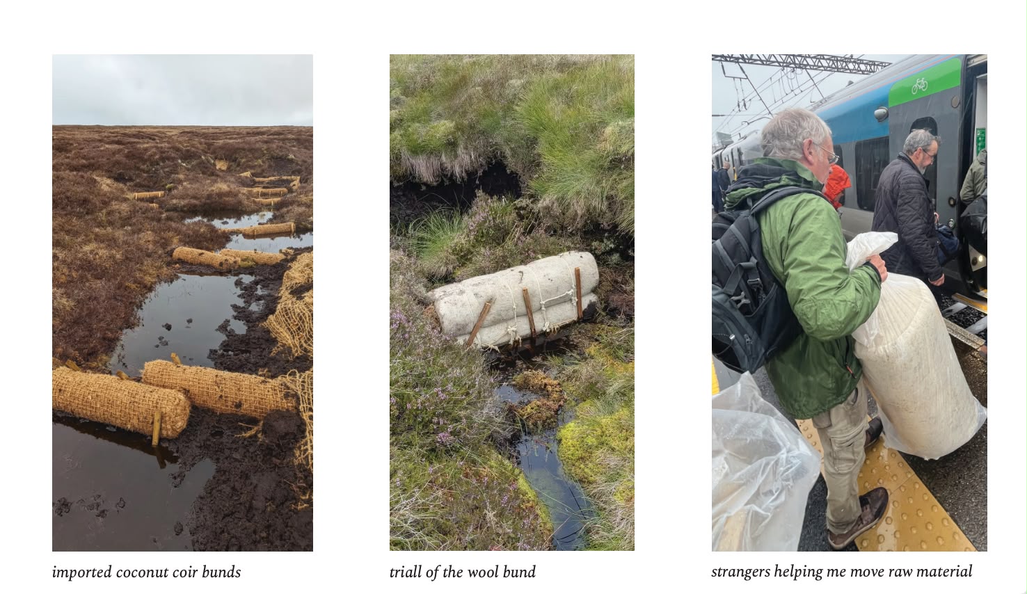 Showing different styles of restoration bunds, and strangers helping me carry material