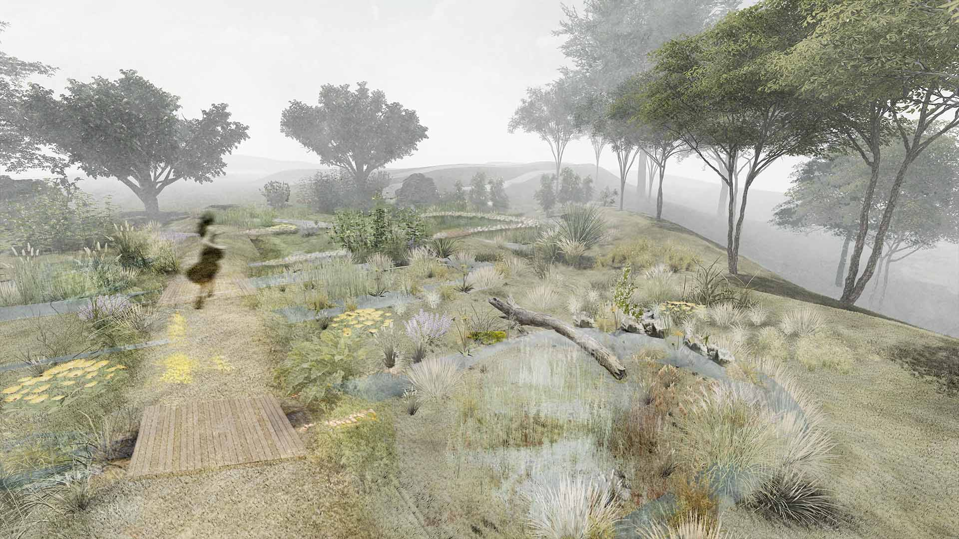 Constructed Wetland Perspective 1