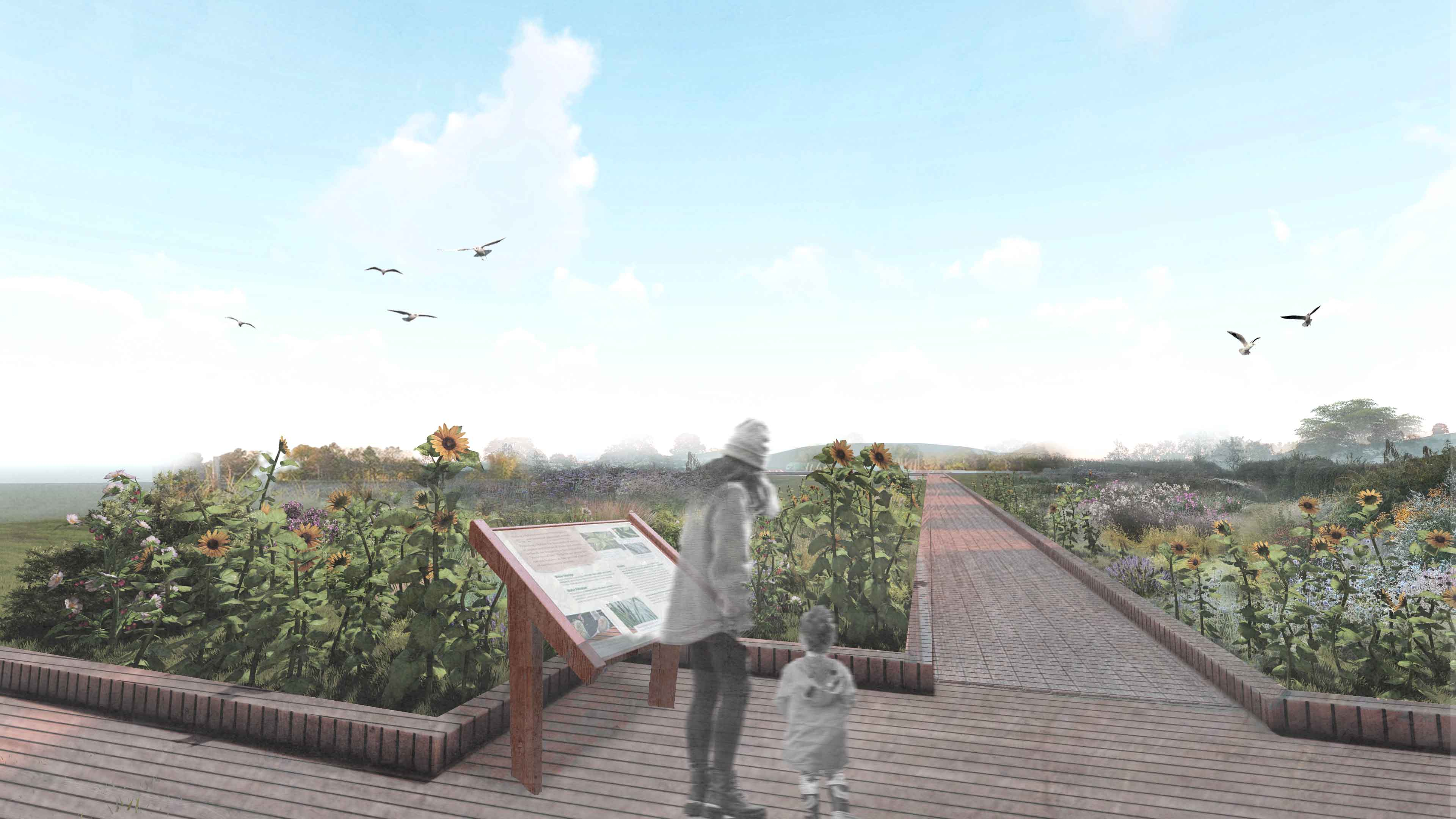 Phytoremediation Area Perspective 1
