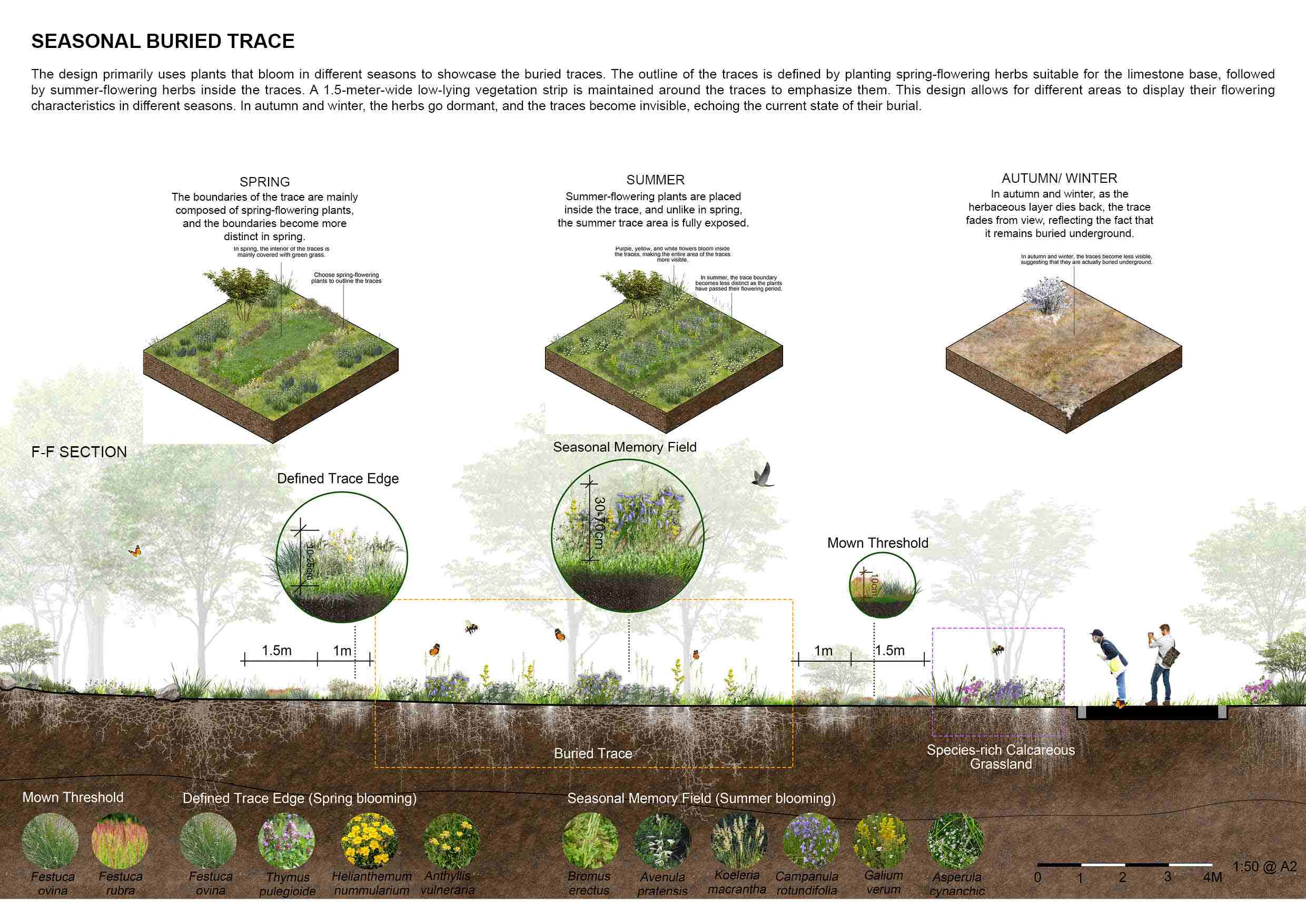 SEASONAL BURIED TRACE