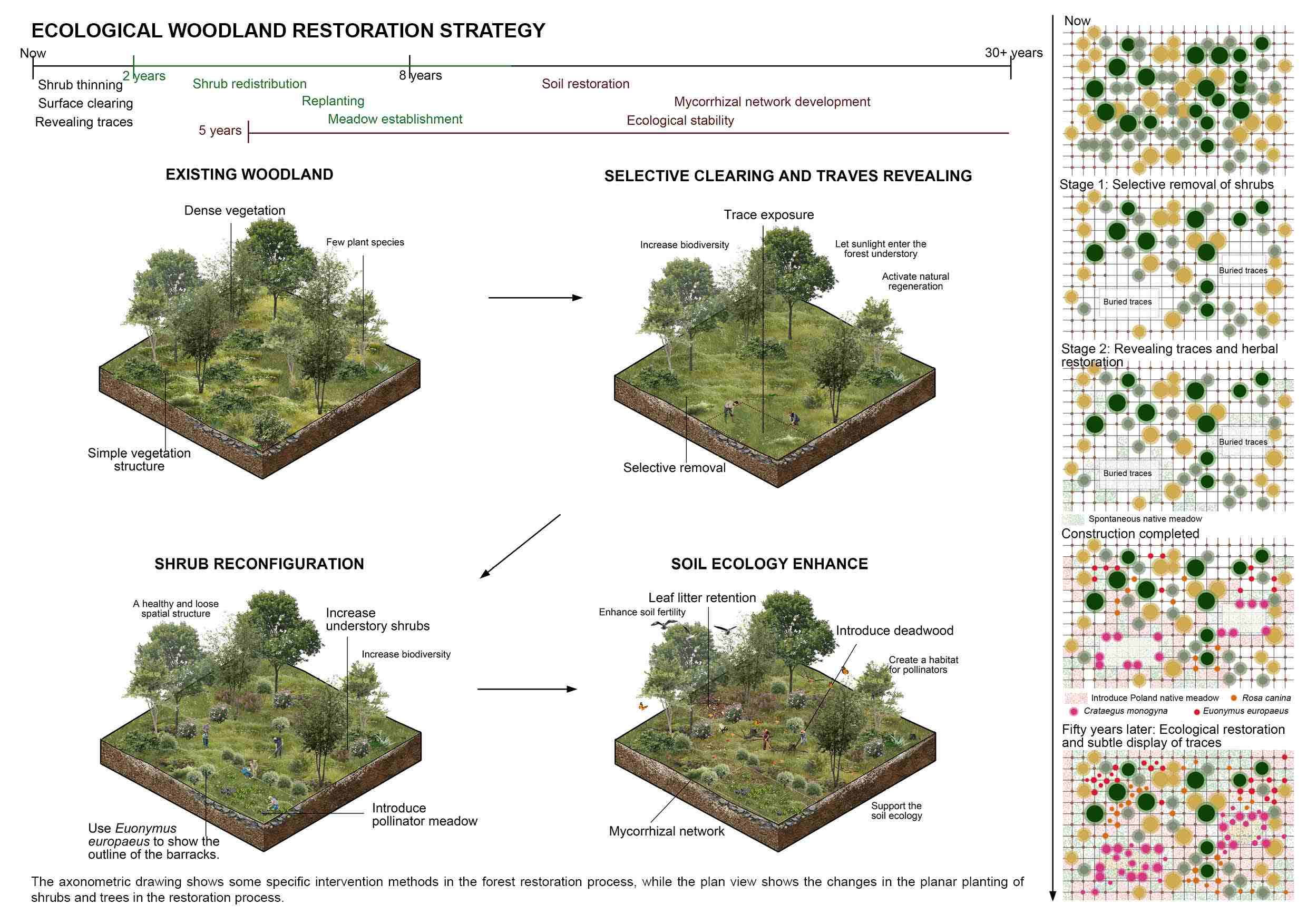 ECOLOGICAL WOODLAND RESTORATION STRATEGY
