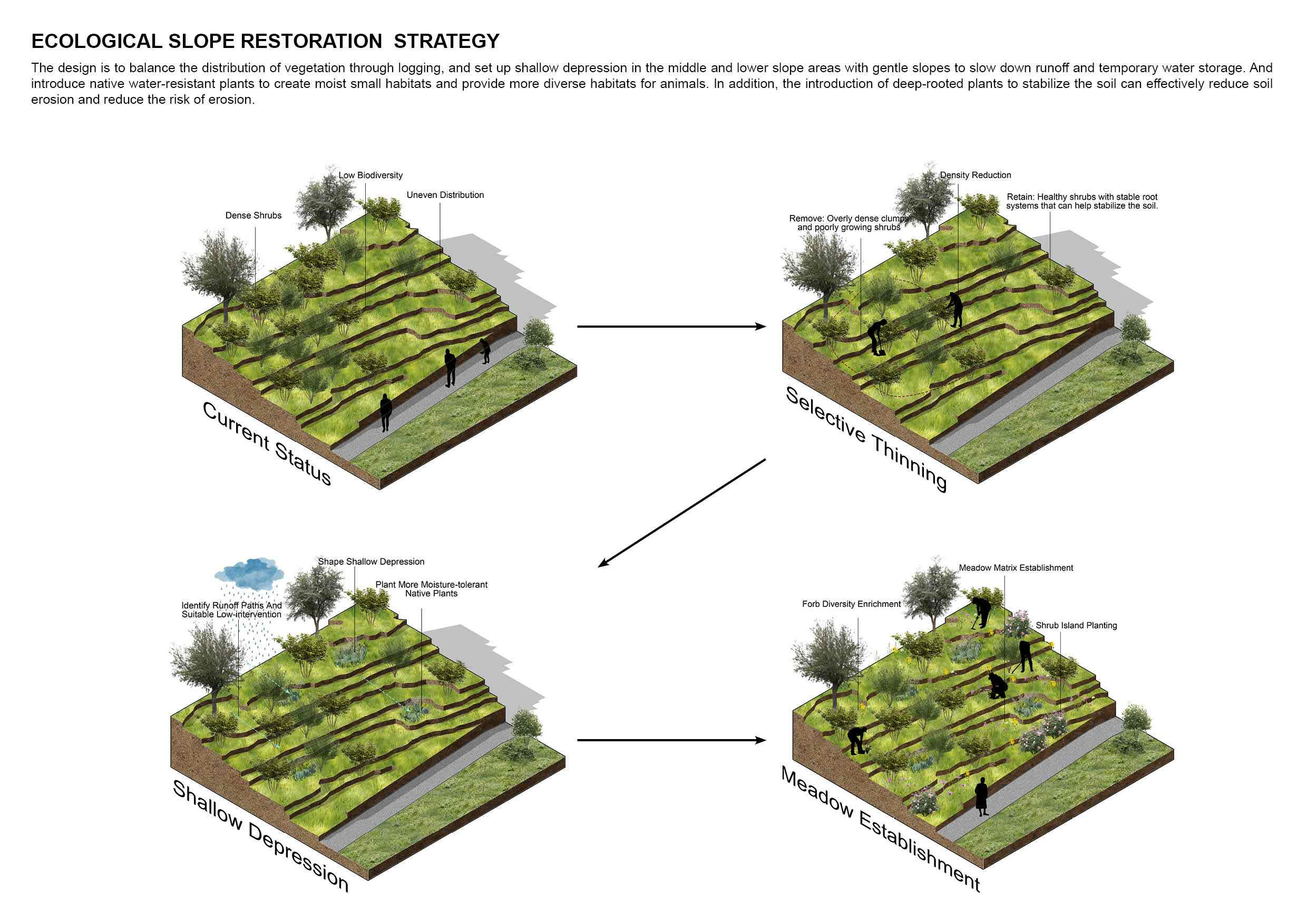 ECOLOGICAL SLOPE RESTORATION  STRATEGY