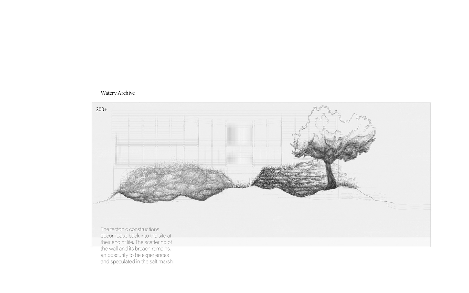 section