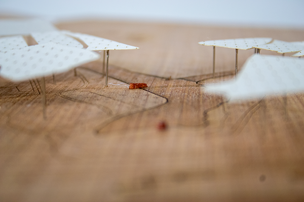 Masterplan Model
