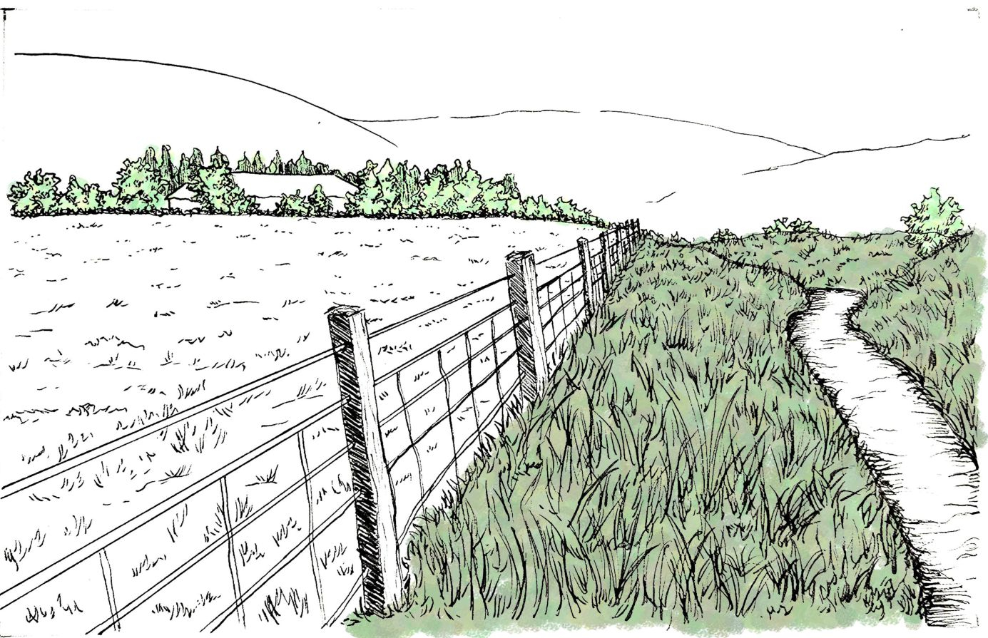 Drawing of existing conditions within agricultural field