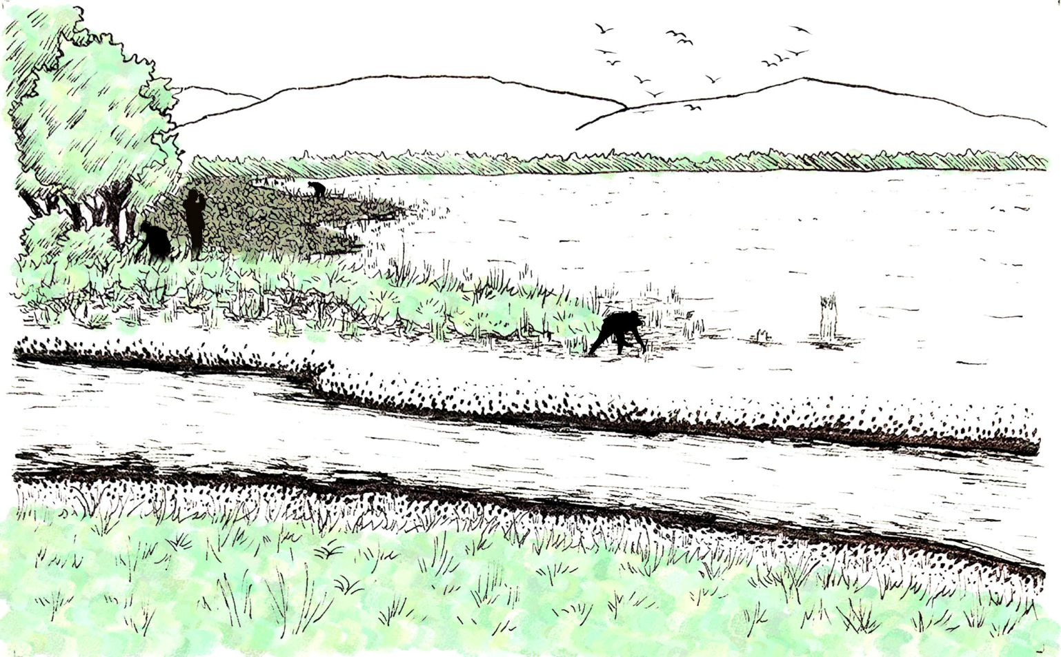Speculative social future drawing of coastal landscape