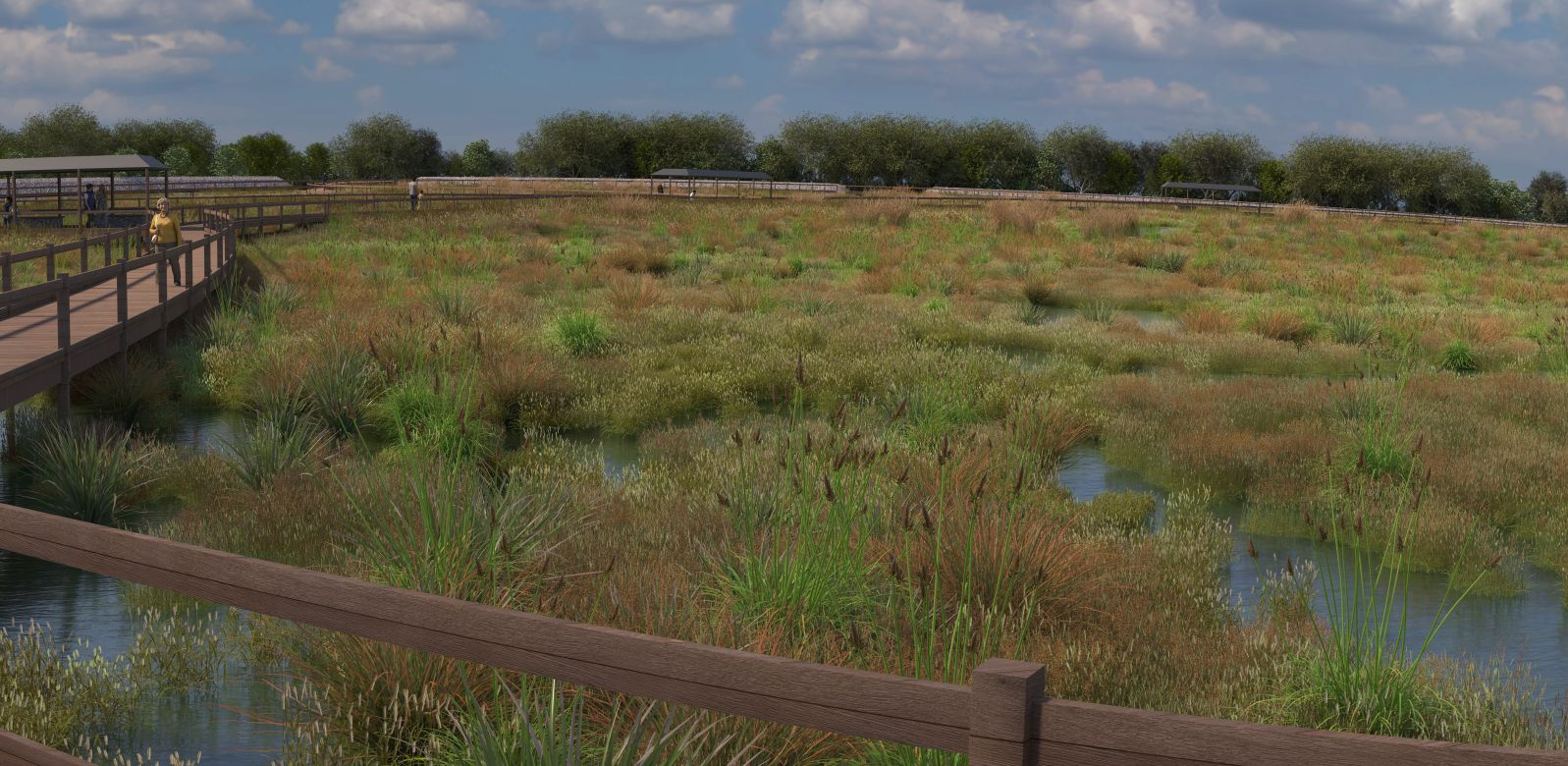 Perspective view of coastal boardwalk lower marsh