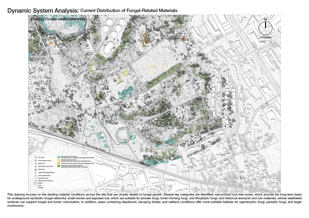 Dynamic System Analysis: Current Distribution of Fungal-Related Materials 