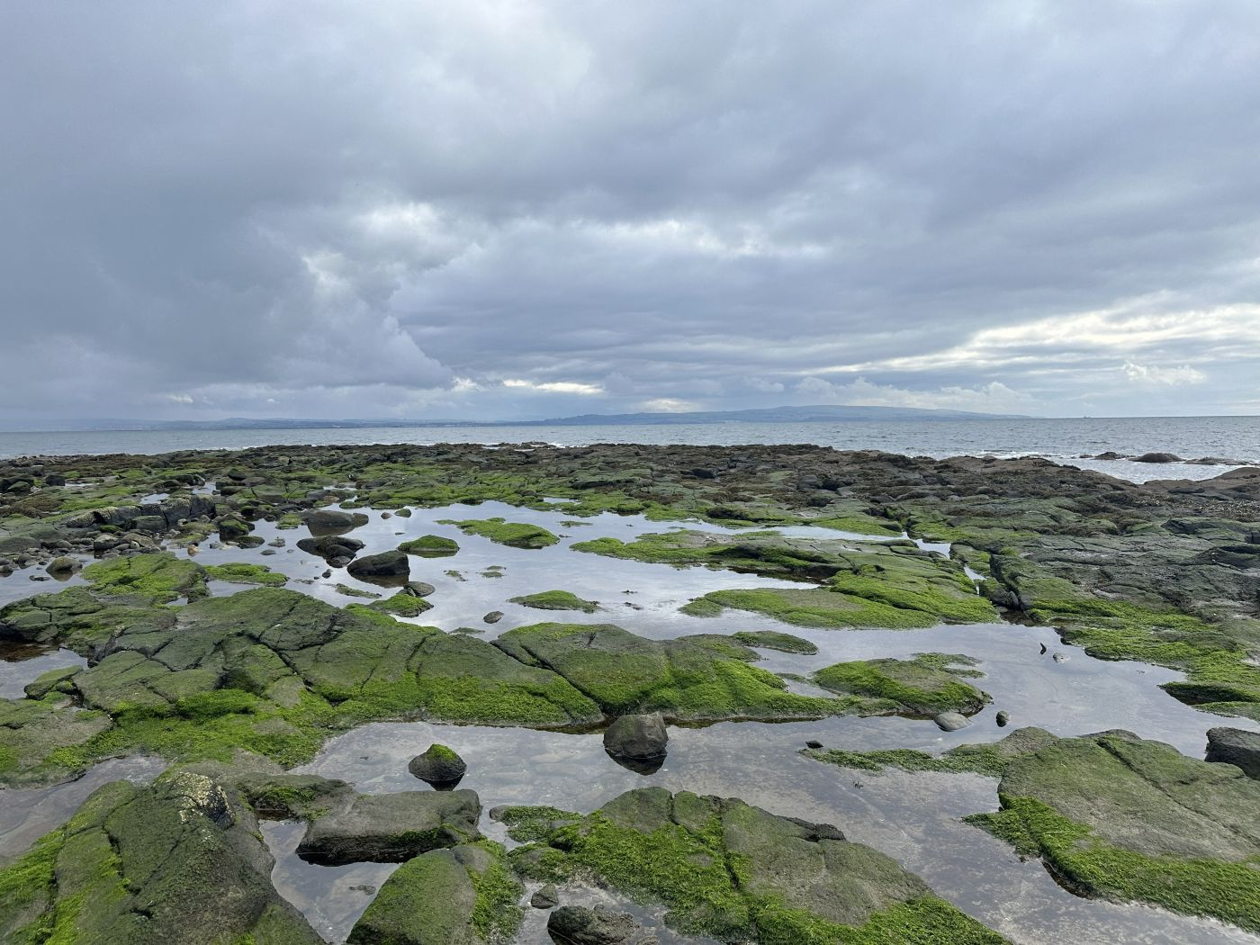 site photo rocks and seaweed