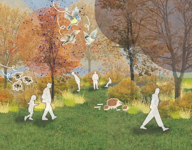 Autumn visual in the woodland and edible islands