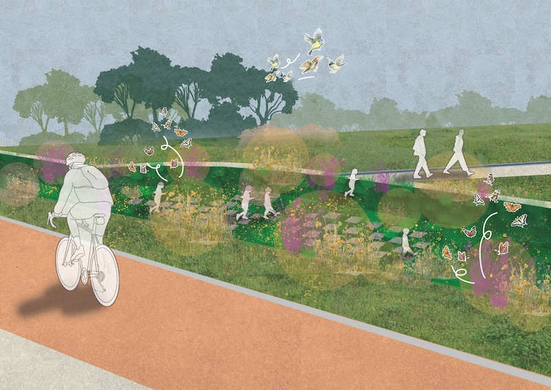 Spring visual along the pedestrian rain gardens 