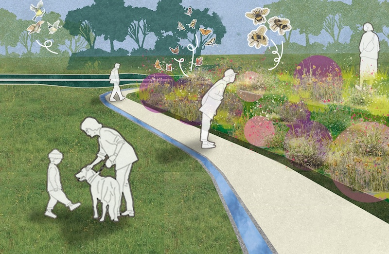 Summer visual along the raised meadow berms
