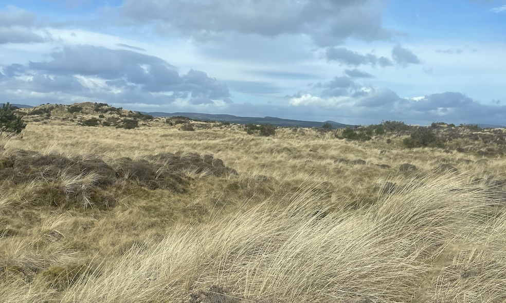 Morrich More's Heathland on Sand dunes
