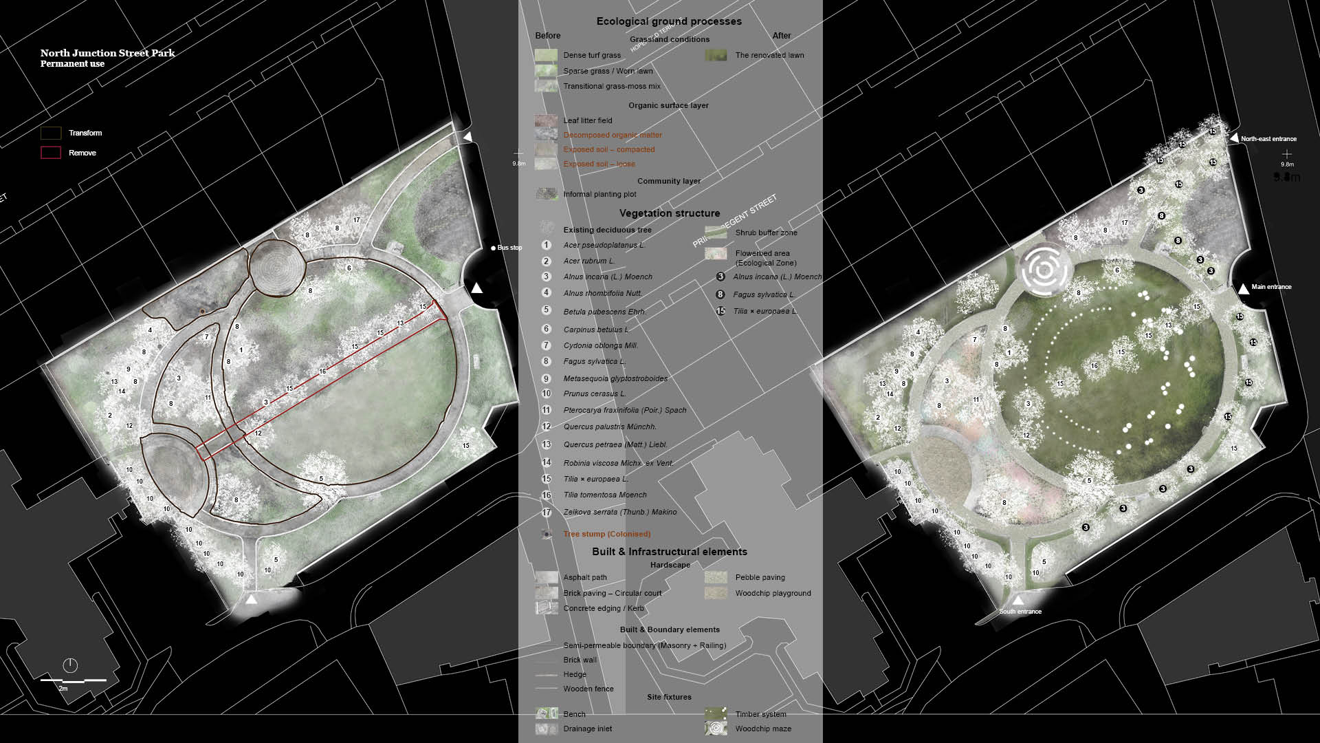 Site plan comparison of North Junction Street Park showing the existing condition (left) with mature trees, worn grassland, an underused circular hard platform, and no lighting, alongside the proposed design (right) introducing a timber post system arranged in double concentric arcs around a central performance zone, an ecology zone with layered understorey planting to the left, and a backstage area constructed from repurposed woodchip at the upper corner.
