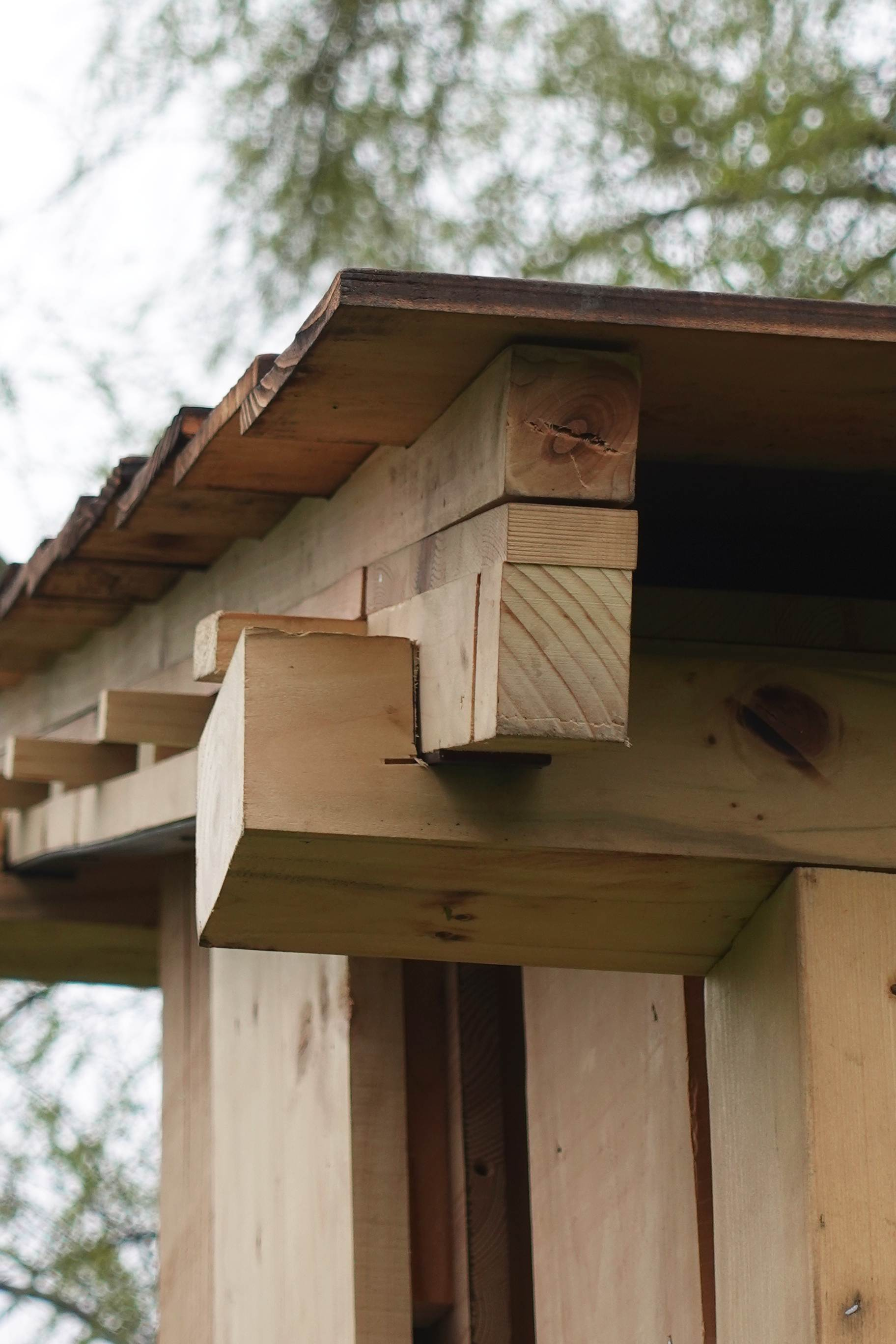 Live-Build | Roof Structure