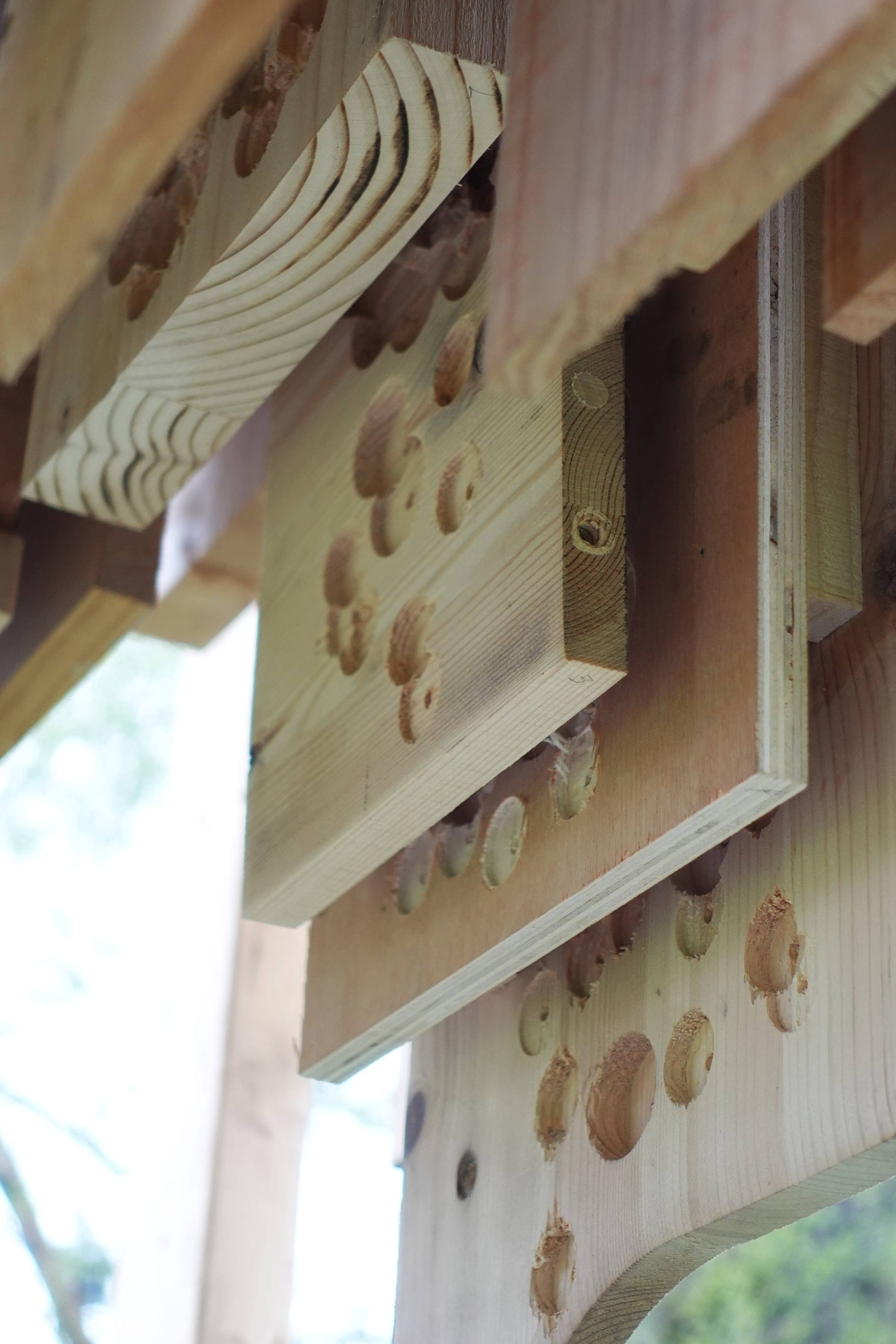 Live-Build | Bat Panels 