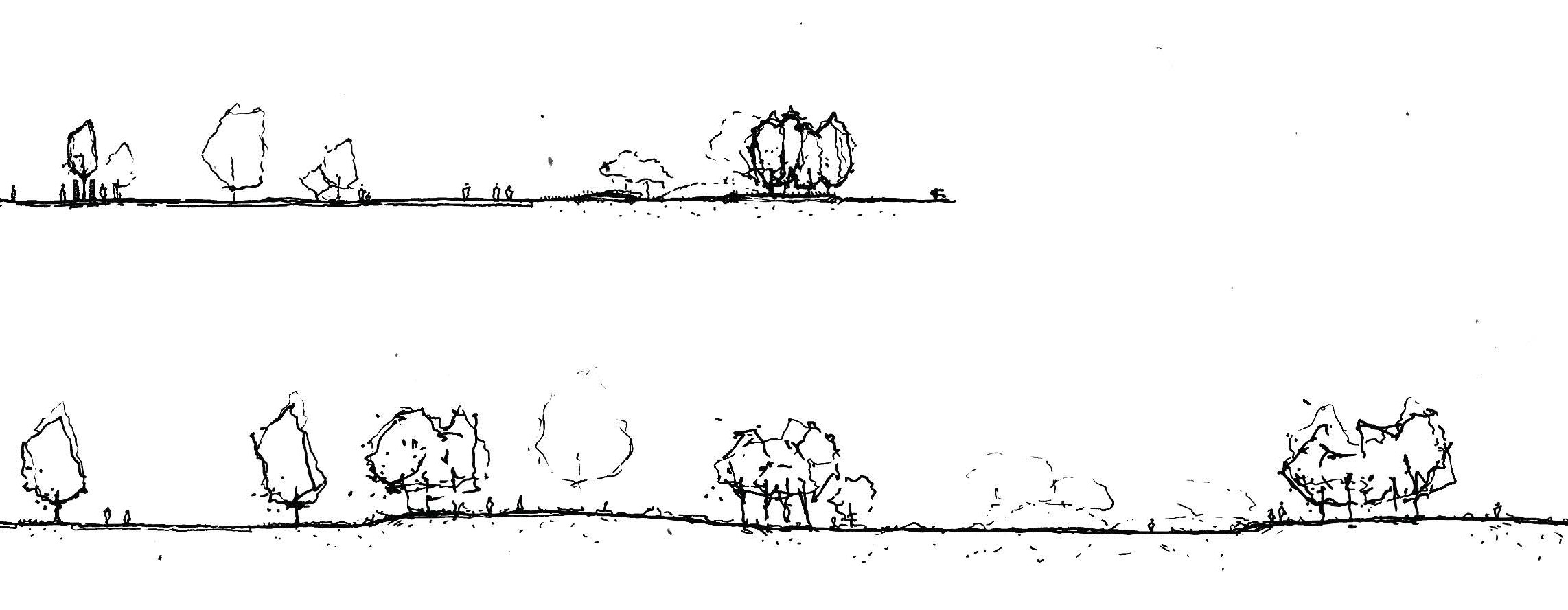 Conceptual sections