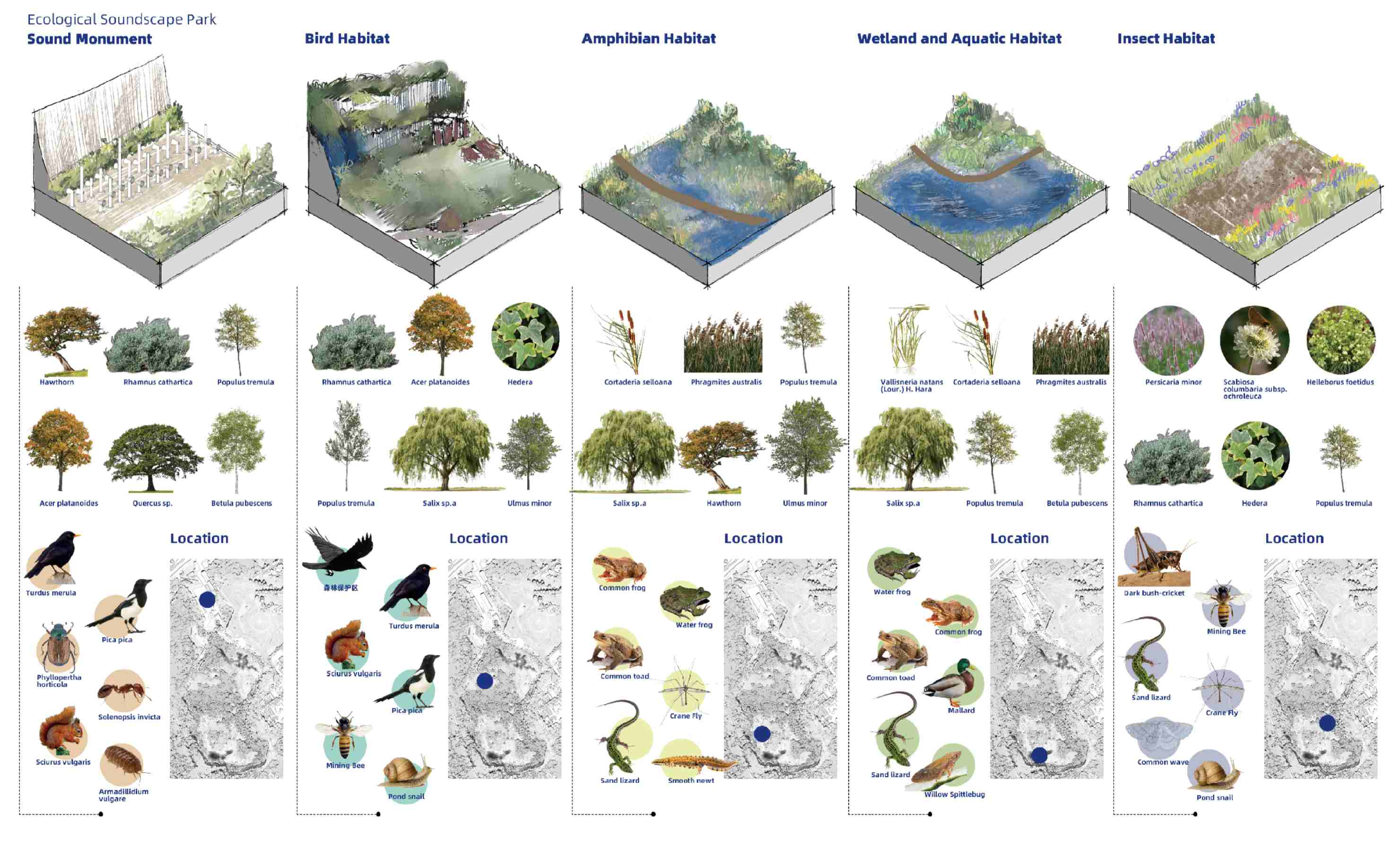 Ecological soundscape park framework, showing how different habitat zones are designed with specific planting communities and target species to support the living voices of Liban Quarry.