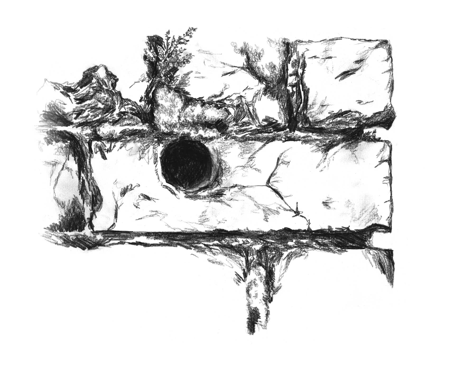 Charcoal drawing of crumbling brick with moss and lichen.