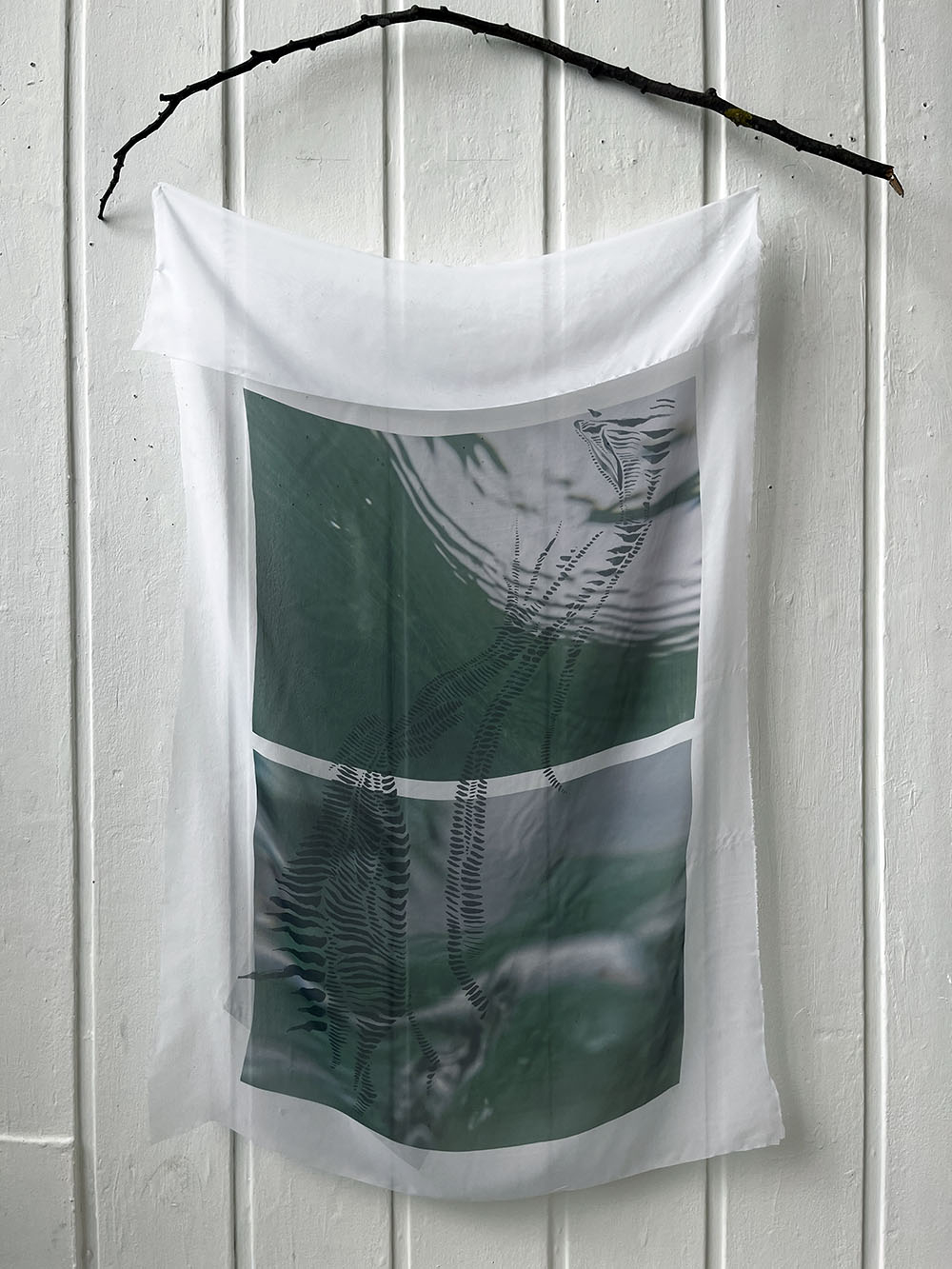 Photograph of prints on chiffon fabric hanging from a branch against a white wall.