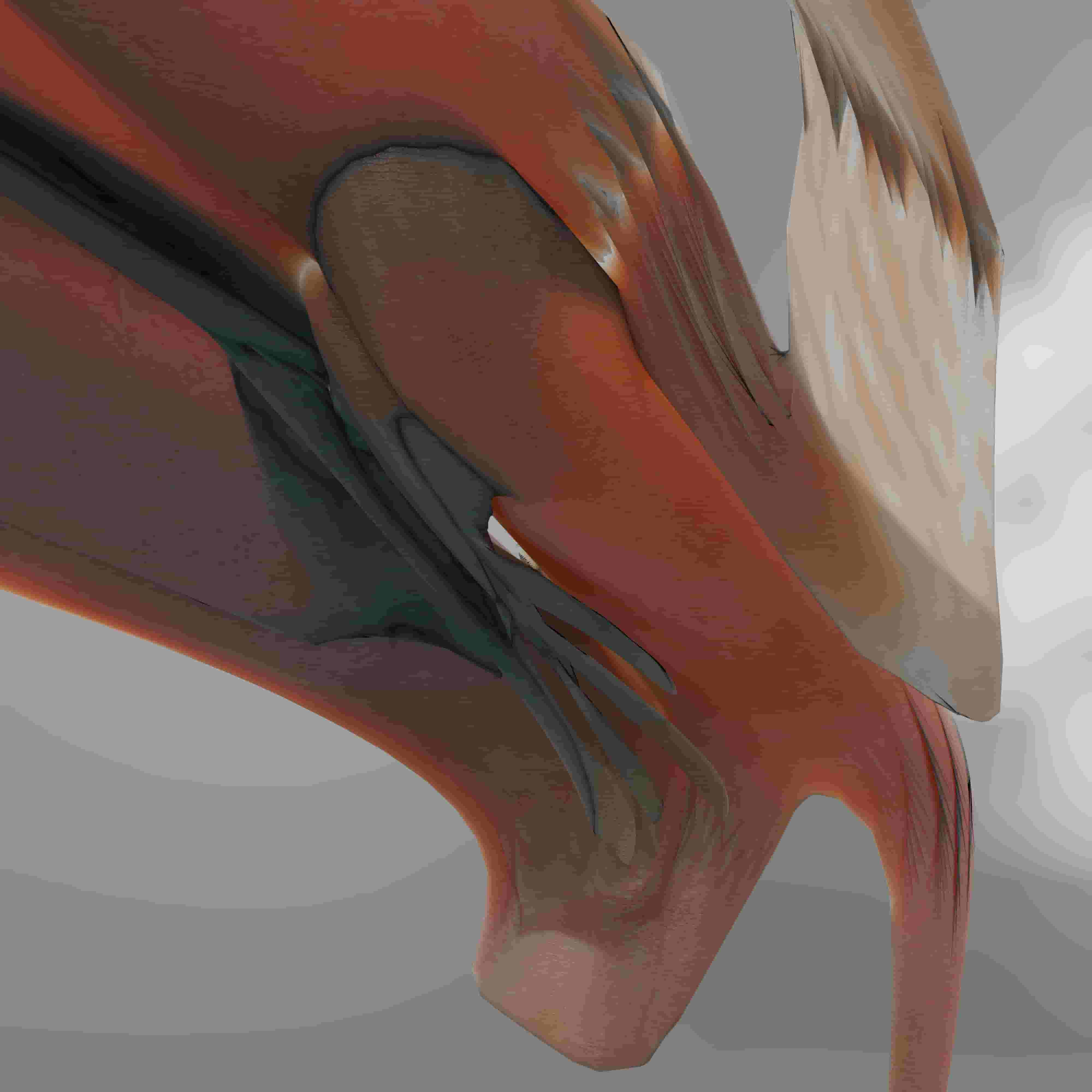 abstract skin textured shape