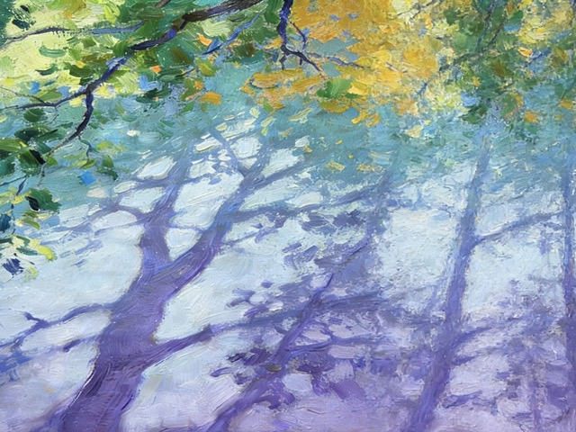 color 6