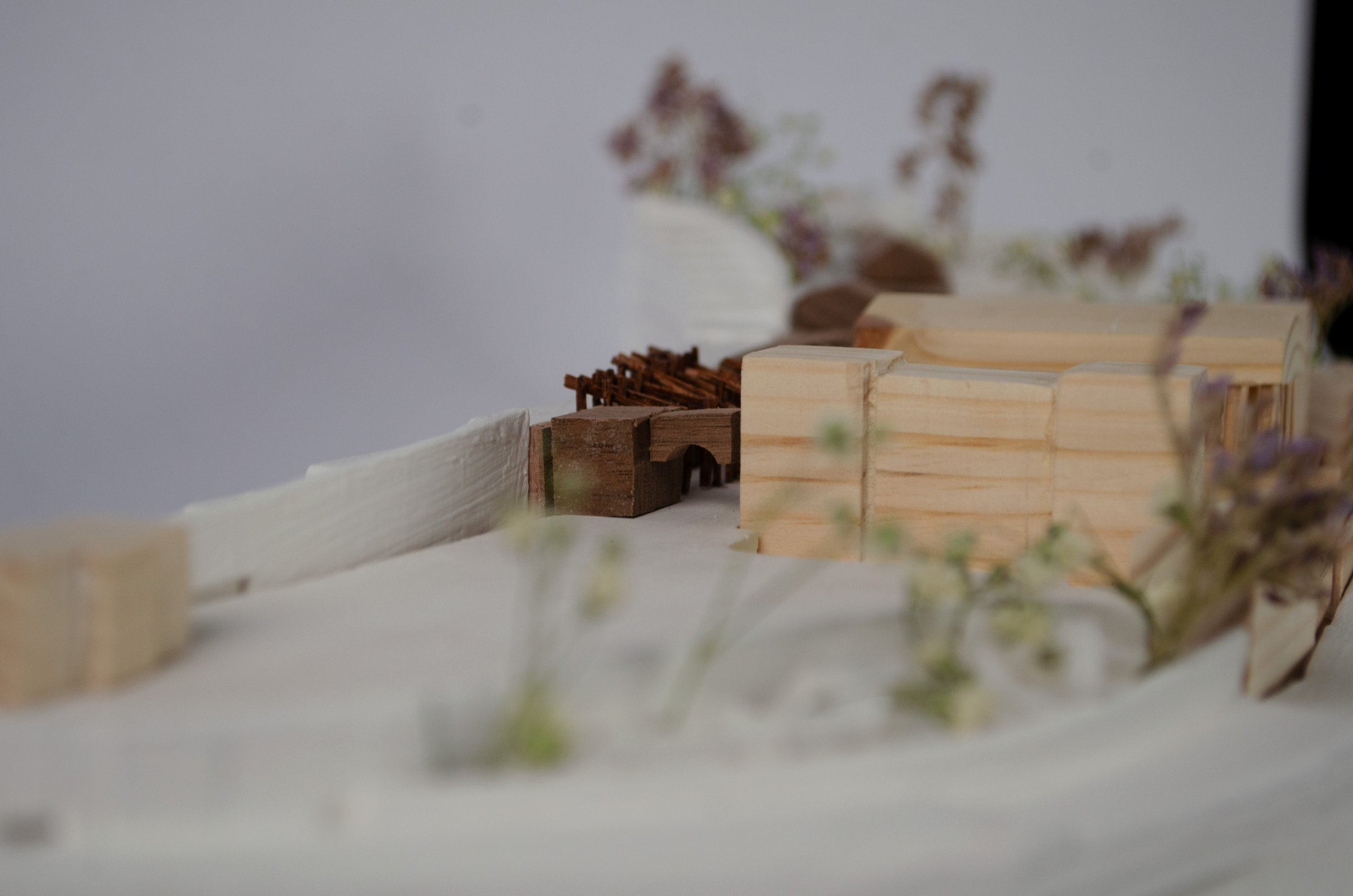 Site Model | 1:500 