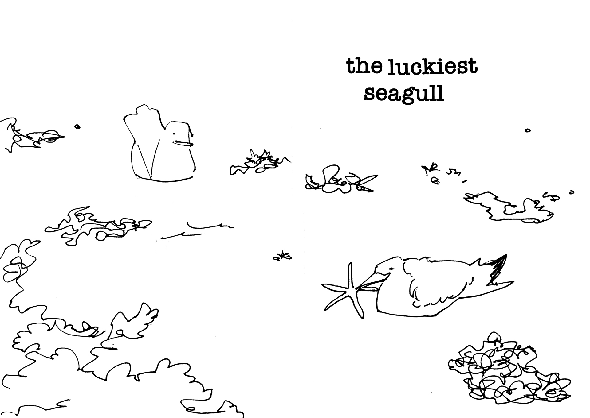 An ink drawing of the luckiest seagull, who caught a starfish.