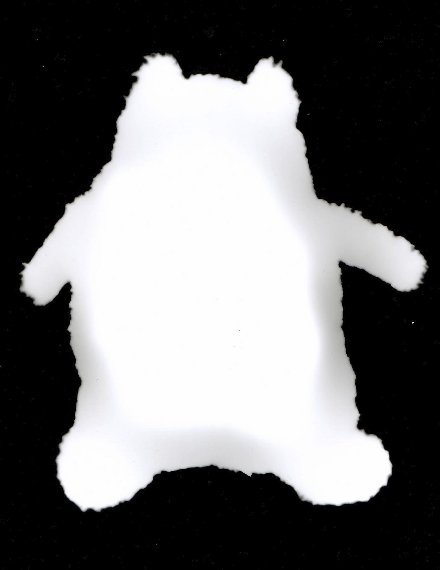 Photogram of stuffed toy cat