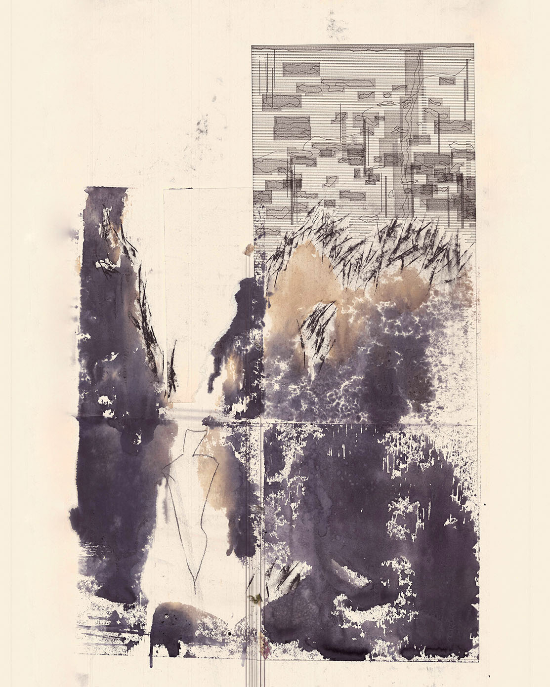 Elevation Study