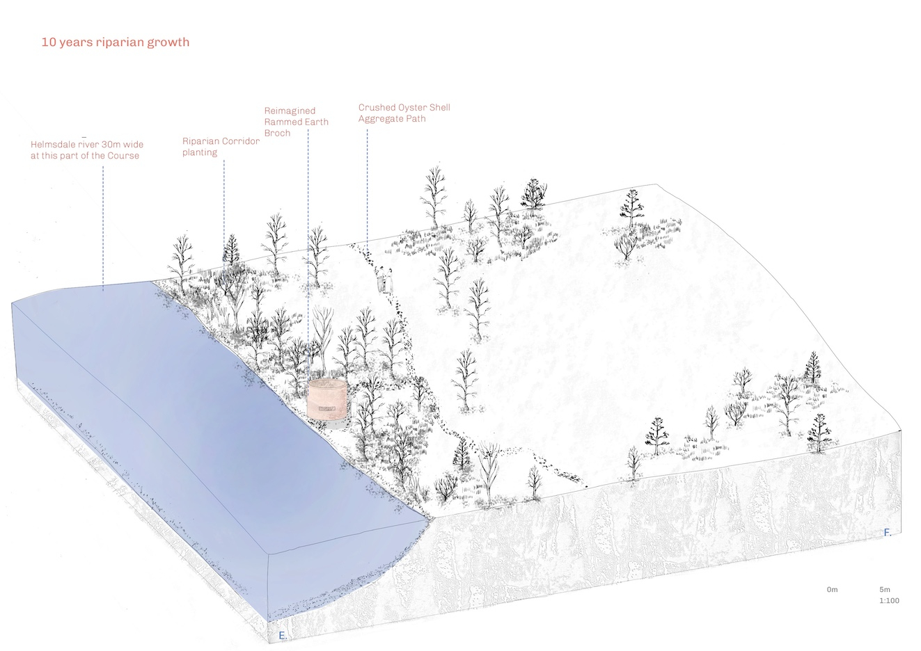 Site 4 salmon box 2