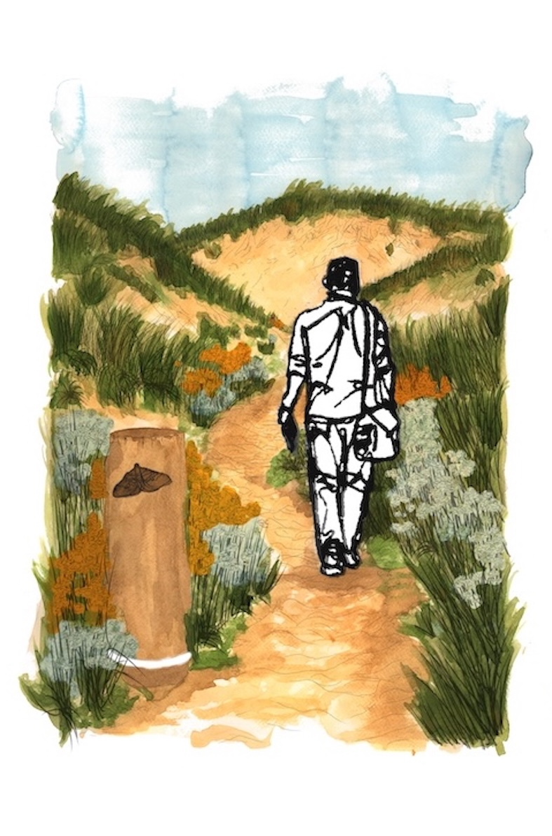 Coastal Sand Dune Tuck Path, Daytime Visual