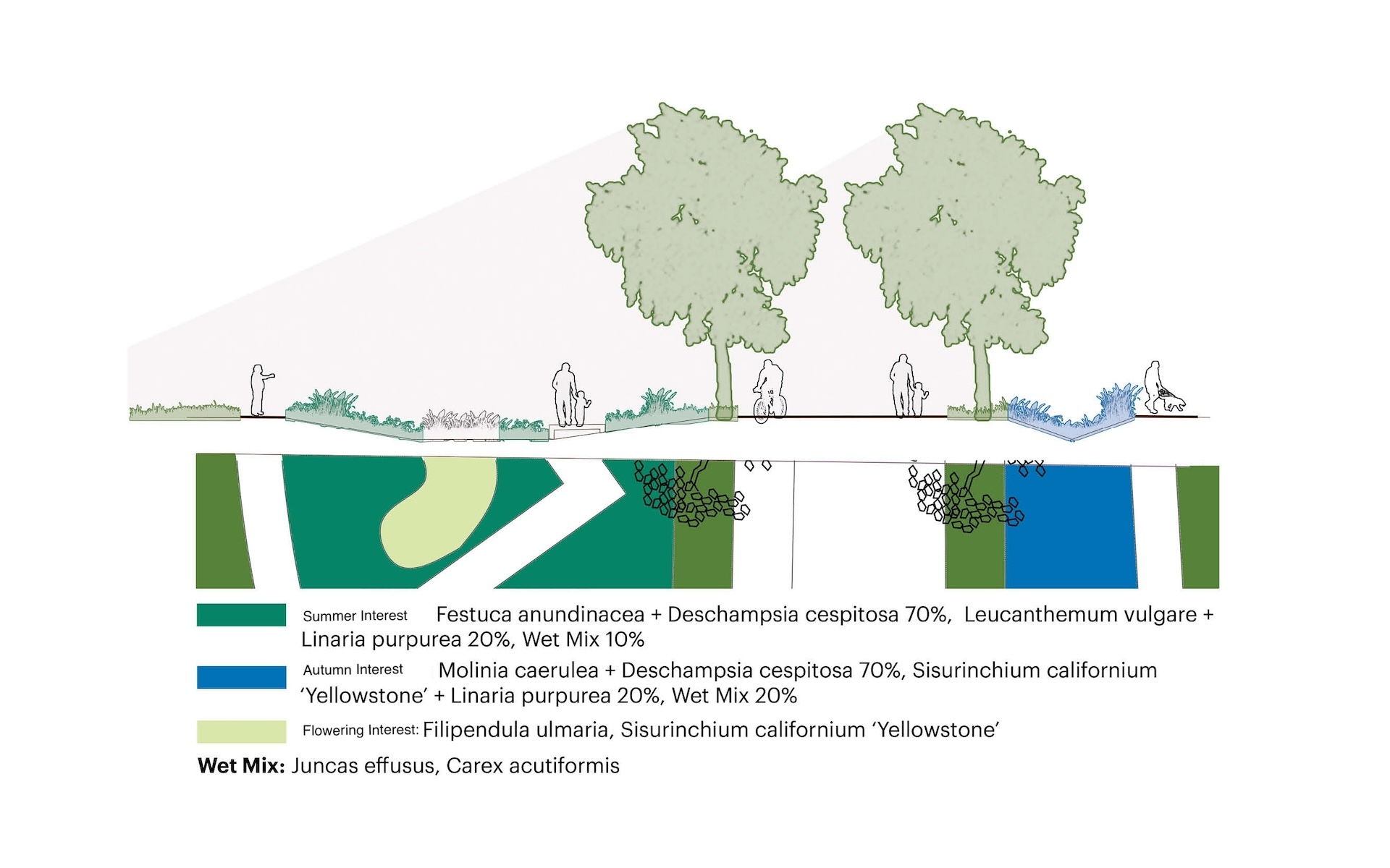 Detailed section of rain gardens next to pedestrian route