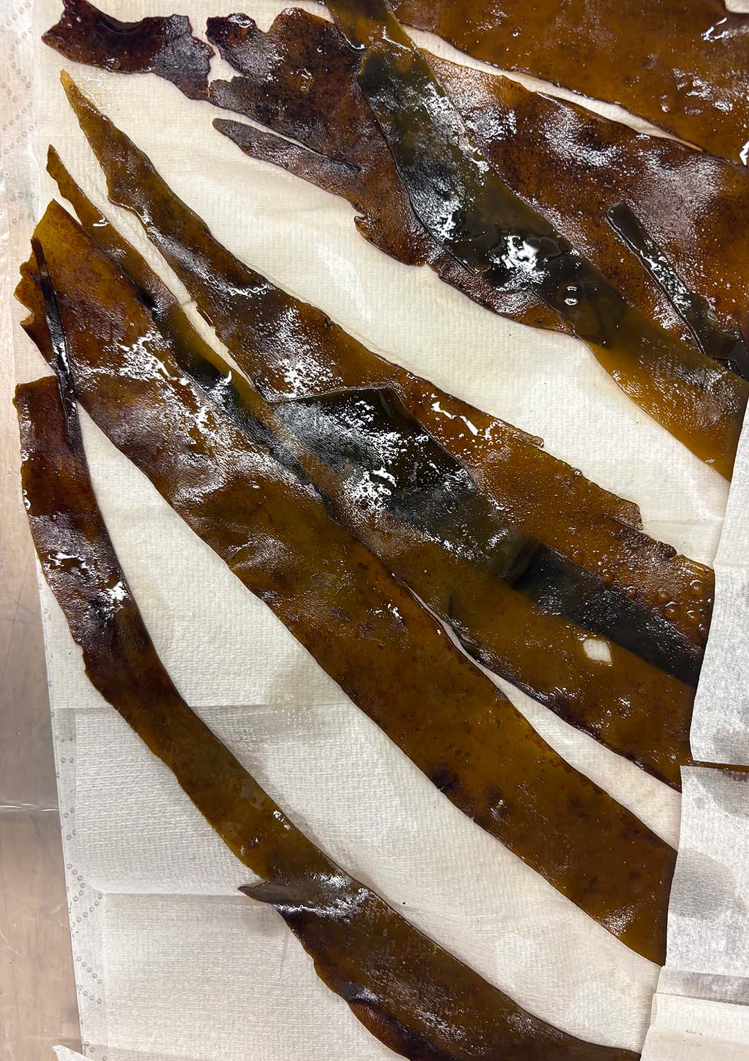Dried Seaweed