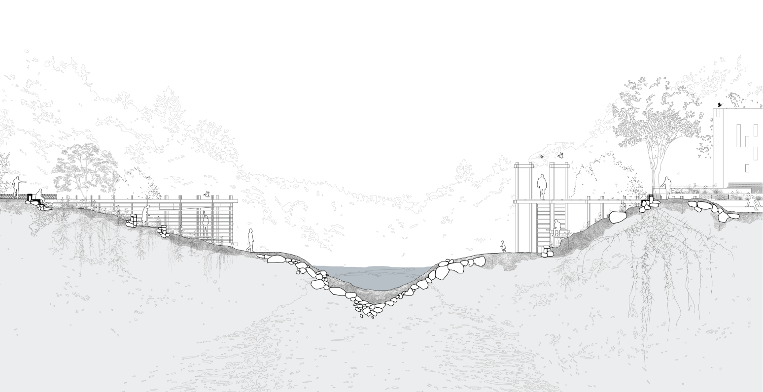 Littoral Gradient