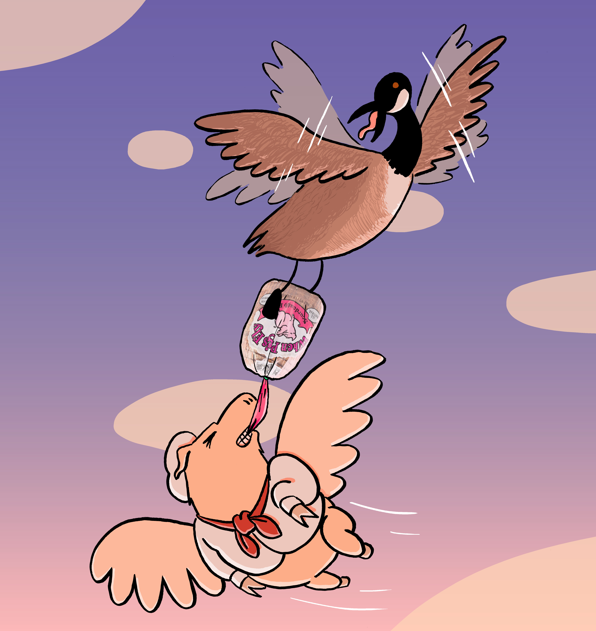 When Pigs Fly Collaboration Cartoon