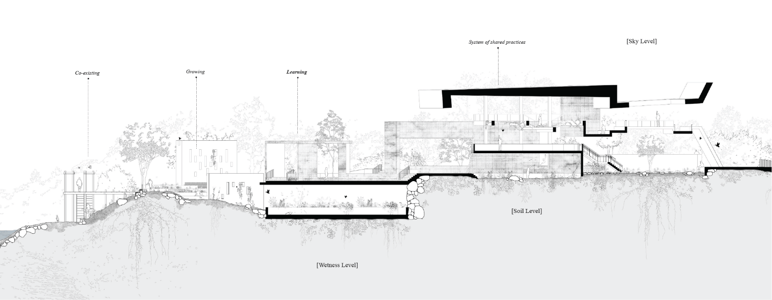 The Littoral Pavilion_Cosmology of ecologies