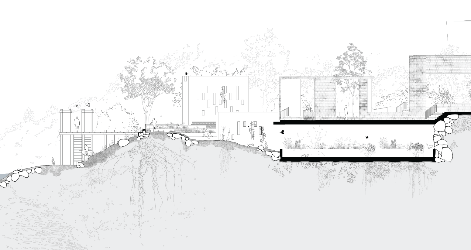 The Littoral Pavilion_Manifest Basin