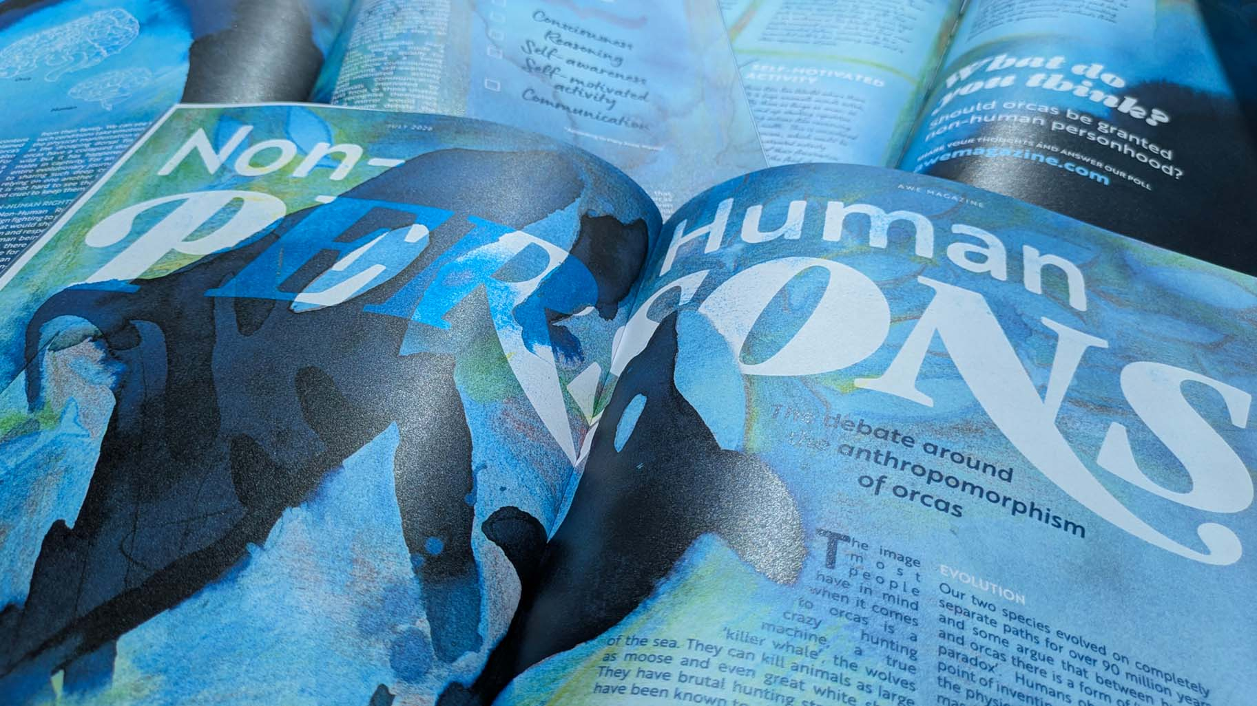 Close-up of orca article