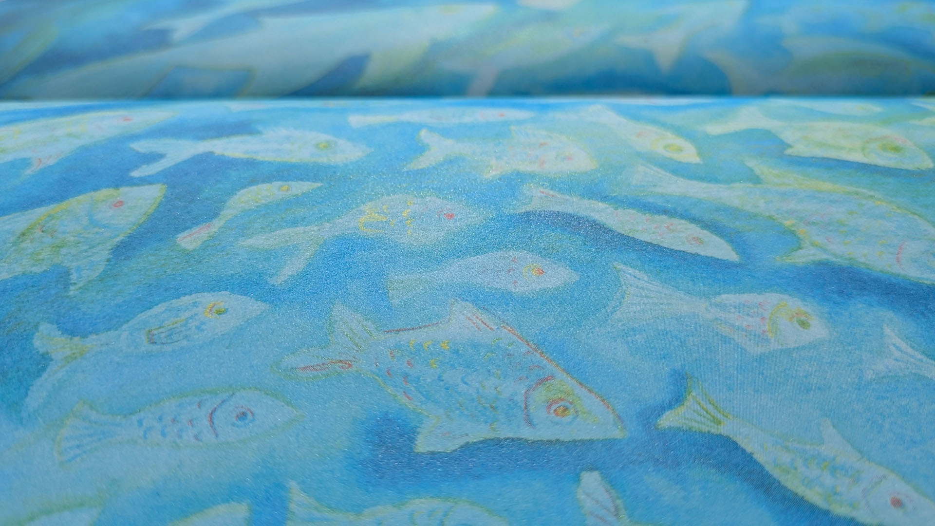 Close-up of fish shoal drawing